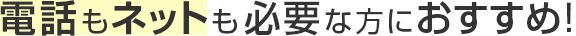 電話もネットも必要な方におすすめ！